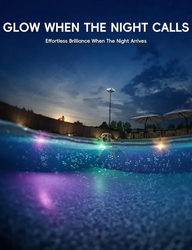 🌞Poolside Paradise Solar Lights – Final Sale!