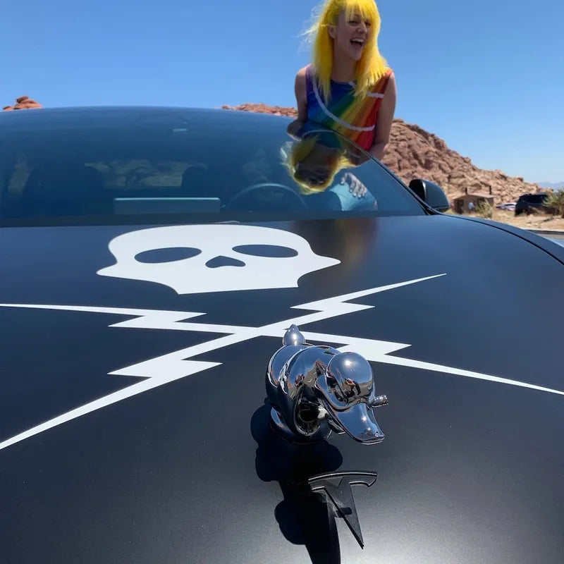 ππ₯ Unleash the Beast β Death Proof Angry Duck for Your Hood! π¦