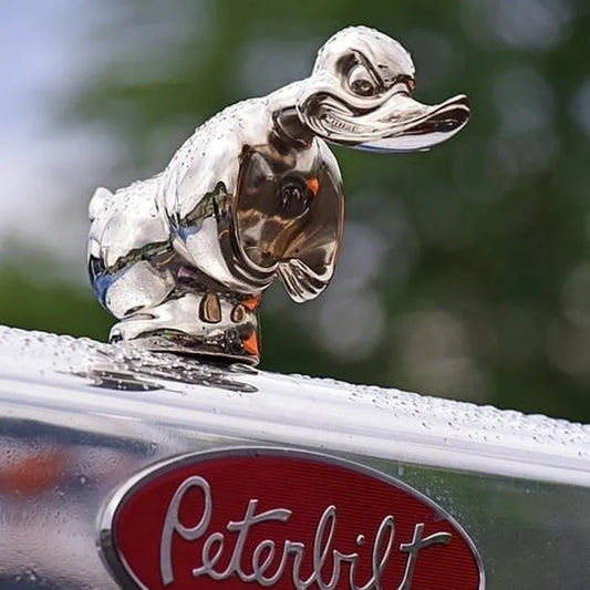 🚗🔥 Unleash the Beast – Death Proof Angry Duck for Your Hood! 🦆